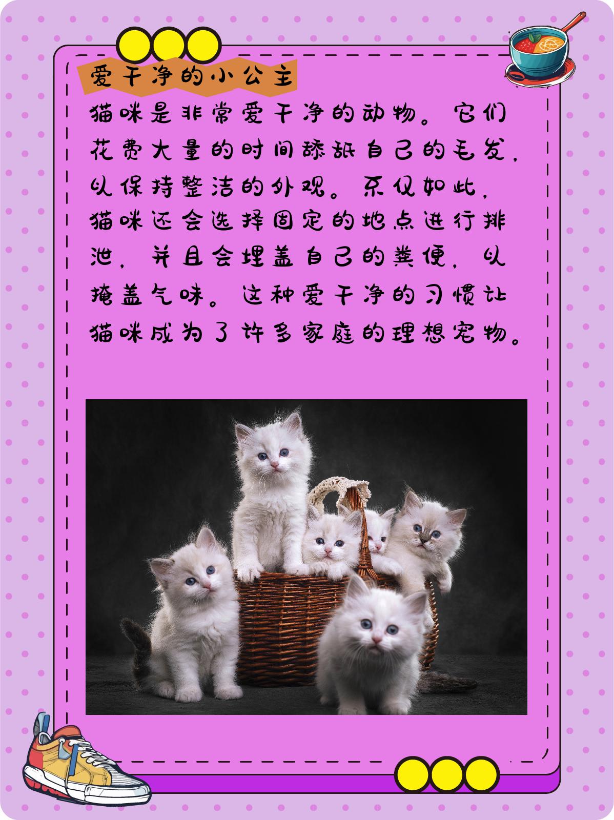猫的生活习性是什么