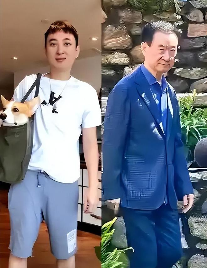 王思聪个人:身高